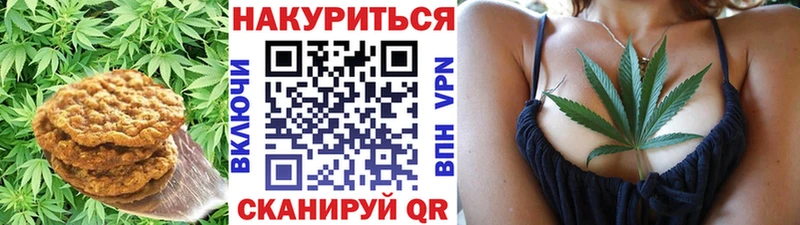 где продают   Волосово  Canna-Cookies марихуана 