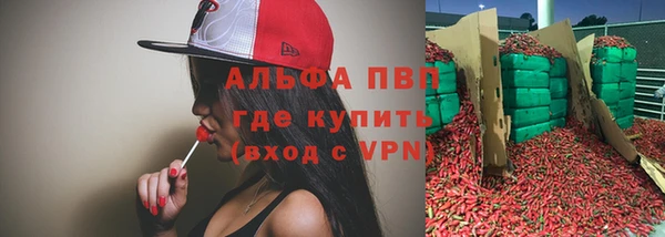 бошки Каменка