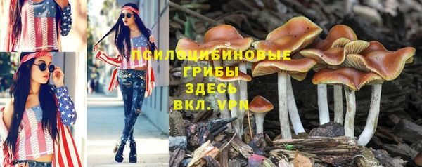 СК Белоозёрский